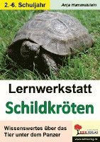 bokomslag Lernwerkstatt Schildkröten