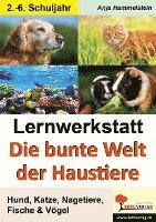 bokomslag Lernwerkstatt - Die bunte Welt der Haustiere