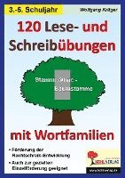 bokomslag 120 Lese- und Schreibübungen mit Wortfamilien