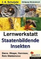 bokomslag Lernwerkstatt - Staatenbildende Insekten