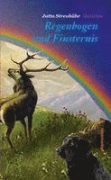 Jutta Streubühr, Axel Dielmann - Regenbogen und Finsternis, Häftad