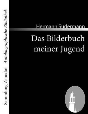 bokomslag Das Bilderbuch meiner Jugend