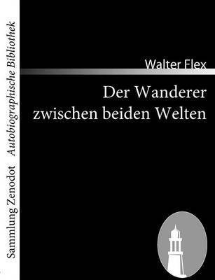 Walter Flex - Wanderer zwischen beiden Welten, Häftad