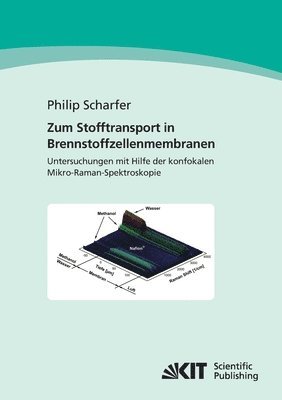 bokomslag Zum Stofftransport in Brennstoffzellenmembranen