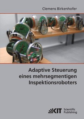 bokomslag Adaptive Steuerung eines mehrsegmentigen Inspektionsroboters