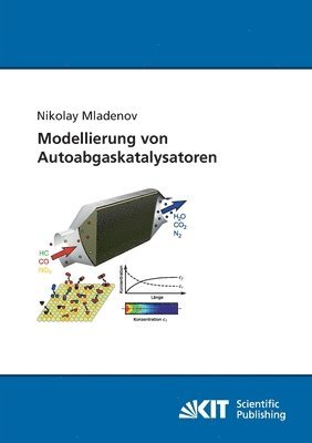 bokomslag Modellierung von Autoabgaskatalysatoren