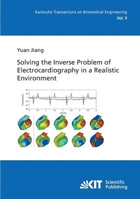 Yuan Jiang - Solving the inverse problem of electrocardiography in a realistic environment, Häftad