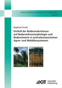 bokomslag Einfluss der Bodenmakrofauna auf Bodenmikromorphologie und Bodenchemie in zentralamazonischen Agrar- und Waldoekosystemen