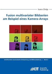 bokomslag Fusion multivariater Bildserien am Beispiel eines Kamera-Arrays