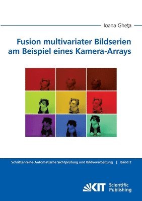 Fusion multivariater Bildserien am Beispiel eines Kamera-Arrays 1