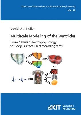 David Urs Josef Keller - Multiscale Modeling of the Ventricles, Häftad