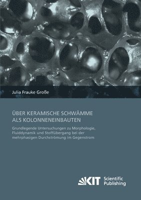 Über keramische Schwämme als Kolonneneinbauten