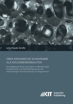 UEber keramische Schwamme als Kolonneneinbauten 1