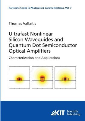 bokomslag Ultrafast nonlinear silicon waveguides and quantum dot semiconductor optical amplifiers