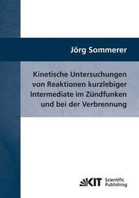 bokomslag Kinetische Untersuchungen von Reaktionen kurzlebiger Intermediate im Zündfunken und bei der Verbrennung
