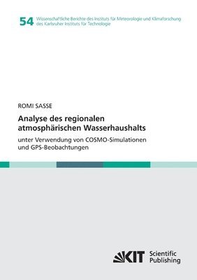 Romi Sasse - Analyse des regionalen atmosphärischen Wasserhaushalts unter Verwendung von COSMO-Simulationen und GPS-Beobachtungen, Häftad