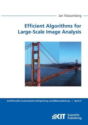 Efficient Algorithms for Large-Scale Image Analysis 1