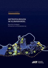 bokomslag Metropolregion im Klimawandel - Raumliche Strategien Klimaschutz und Klimaanpassung Zur Entwicklung gesamtraumlicher Konzepte am Beispiel der Metropolregion Rhein-Neckar