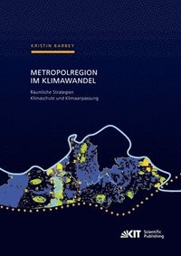 bokomslag Metropolregion im Klimawandel - Räumliche Strategien Klimaschutz und Klimaanpassung Zur Entwicklung gesamträumlicher Konzepte am Beispiel der Metropolregion Rhein-Neckar