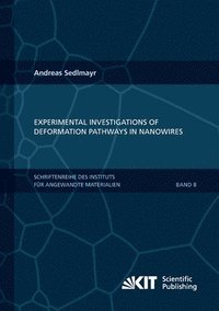 bokomslag Experimental Investigations of Deformation Pathways in Nanowires