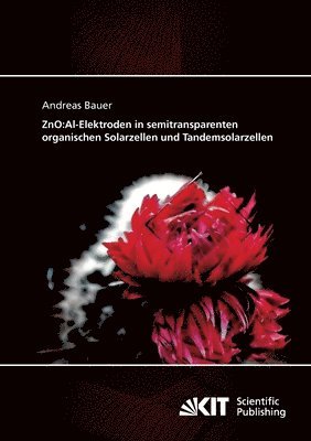 Andreas Bauer - ZnO, Häftad