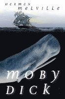 bokomslag Moby Dick oder Der weiße Wal