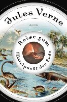 Jules Verne - Reise zum Mittelpunkt der Erde, Inbunden