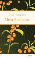 Ulrike Draesner - Mein Hiddensee, Inbunden