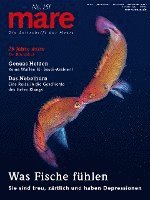 bokomslag mare - Die Zeitschrift der Meere / No. 151 / Was Fische fühlen