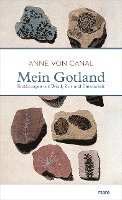 bokomslag Mein Gotland