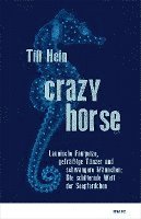 Crazy Horse 1