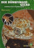 Jens Rauh - Der Dünnfingergecko, Häftad