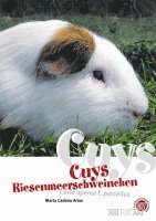 bokomslag Cuys - Riesenmeerschweinchen