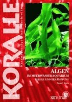 Daniel Knop - Algen im Meerwasseraquarium, Häftad