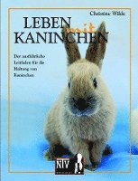 bokomslag Leben mit Kaninchen