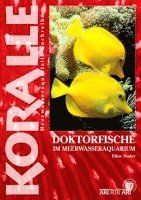 bokomslag Doktorfische im Meerwasseraquarium