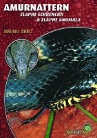 Bruno Treu - Amurnattern - Elaphe Schrenckii & Elaphe Anomala, Häftad