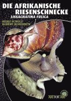 bokomslag Die Afrikanische Riesenschnecke - Achatina Fulica