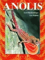 Axel Flaschendräger, Leo Wijffels - Anolis, Inbunden