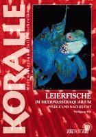 bokomslag Art für Art: Leierfische