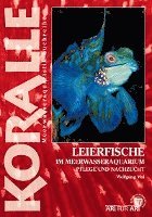 Art für Art: Leierfische 1