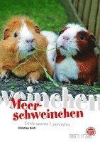 bokomslag Meerschweinchen