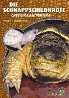 bokomslag Die Schnappschildkröte