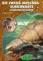 Die Zwerg-Moschus-Schildkröte 1