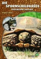 bokomslag Die Spornschildkröte