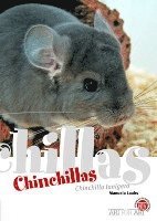 bokomslag Chinchillas