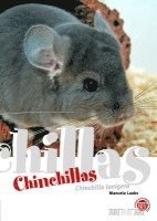 Chinchillas 1