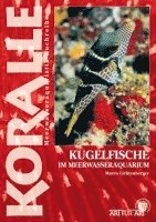 bokomslag Art für Art 16. Kugelfische