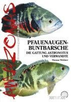 bokomslag Pfauenaugen-Buntbarsche
