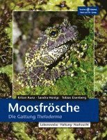 Kriton Kunz, Sandra Honigs, Tobias Eisenberg - Moosfrösche, Häftad